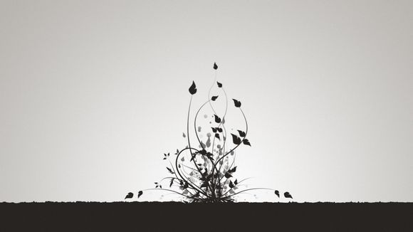 为什么小区信号不好