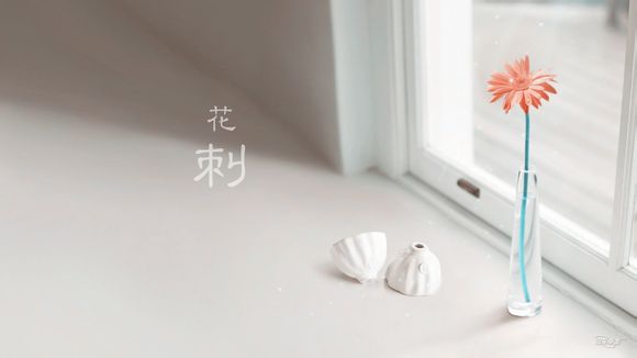 什么牌子的扩音器