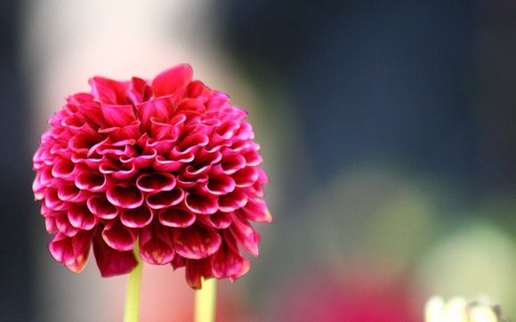 u盘怎么在电脑格式化不了怎么办