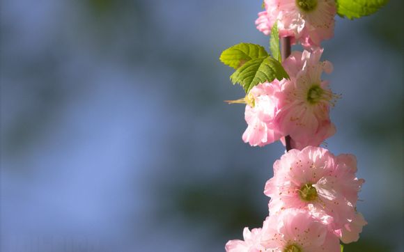 主板怎么点